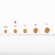 北海道元貝SA 121~187粒 (600克/一斤/16兩)