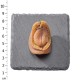 南非吉品鮑 40頭 (150克/4兩) 南非吉品鮑 40頭 (150克/4兩)