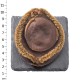 南非溏心乾鮑 3~4頭 (600克/一斤/16兩) 南非溏心乾鮑 3~4頭 (600克/一斤/16兩)